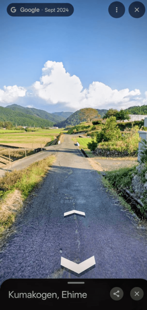 a road in japan